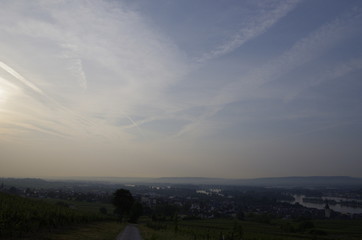 朝のリューデスハイム