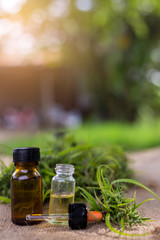 Medicinal cannabis with extract oil in a bottle