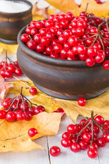   Ripe red berries of a viburnum in a round wooden bowl on an old light table.  Autumn harvest.  The source of natural vitamins. Used in folk medicine.