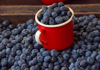Fresh ripe blueberry berries in old metal mug