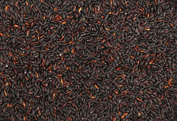 Black purple raw rice close up background