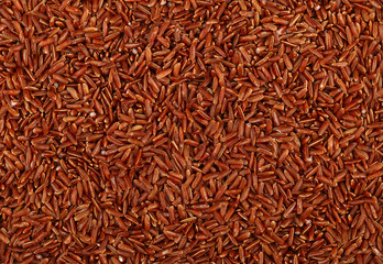 Red brown raw rice close up background