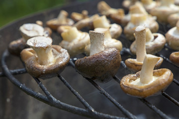 White and shiitake mushrooms on grill
