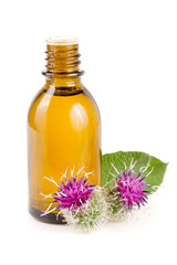 burdock oil in glass bottle and burdock flowers isolated on white background