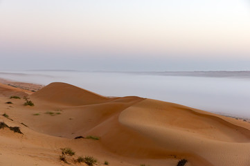 Fototapeta na wymiar Sunrise with mist in Wahiba Sands desert in Oman