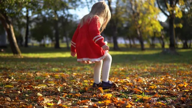 A cute blond little girl in a red dress kicks bright colored autumn foliage, in a public park on a sunny afternoon.