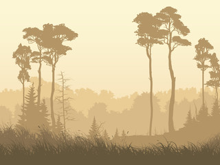 Naklejka premium Horizontal illustration of misty forest glade.