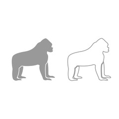 Gorilla grey set icon .