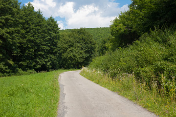Fototapeta na wymiar Asphalt road in the green forest