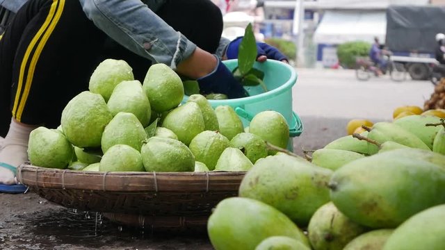 Woman washes green guava in a basket and sells on a farmer's market