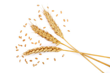 grain and ears of wheat isolated on white background. Top view