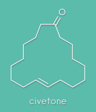 Civetone civet cat pheromone molecule. Used in perfume. Skeletal formula.
