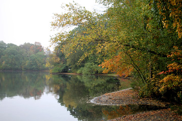 Leaves change color near a misty lake in th emorning