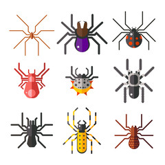 Spider web silhouette arachnid fear graphic flat scary animal design nature insect danger horror halloween vector icon.