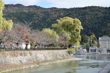 Fototapeta na wymiar 紅葉の京都