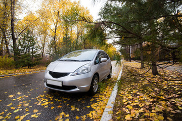 Japanese hatchback on autumn road