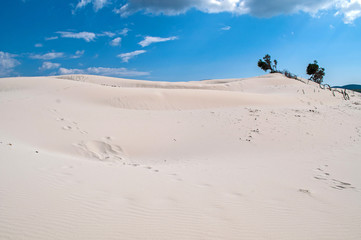 Fototapeta na wymiar Blue sky, clear sea and sand dunes on the island of Sardinia