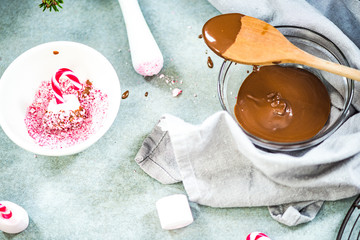 Marshmallow dipped in hot chocolatte