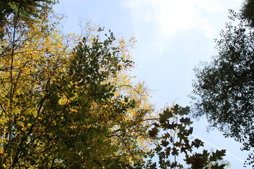 Herbsthimmel