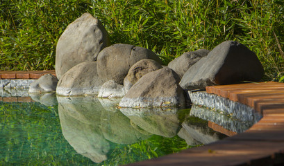 Decorative koi pond in a garden