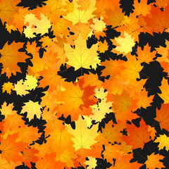 Fototapeta premium Nature floral background. Autumn leaves backdrop illustration