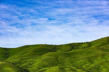 Obraz premium Green hills and blue sky