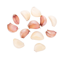 Garlic isolated on white background