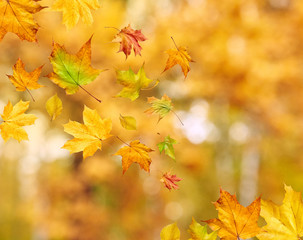 Naklejka na ściany i meble Abstract autumn background with falling leaves
