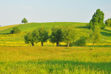 Krajobraz mazurski