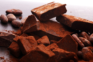 Raw cocoa beans, cocoa powder and chocolate pieces.