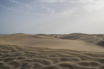 Fototapeta na wymiar Le Dune di Maspalomas In Gran Canaria