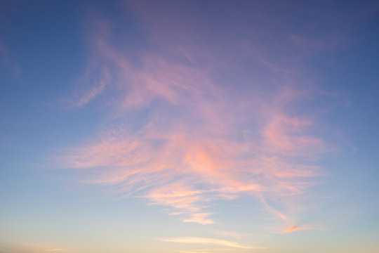 Fototapeta Evening sunlight on coast, pink clouds, blue sky reflection on water. Beach in summer. Seaside natural environment. Shore in Kesselaid, small island in Estonia. Nature Reserve in North Europe