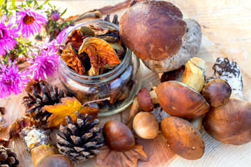 Mushrooms, dried mushrooms, harvesting for the winter, autumn still life.