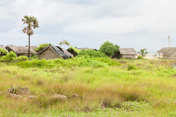 Living in Talawila, Sri Lanka