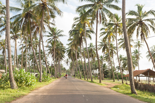 Coastal highway, Marawila, Sri Lanka