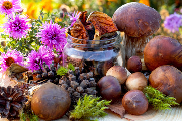Mushrooms, dried mushrooms, harvesting for the winter, autumn still life.