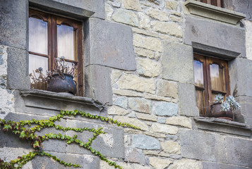 Windows with flowerpot