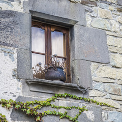 Window with flowerpot