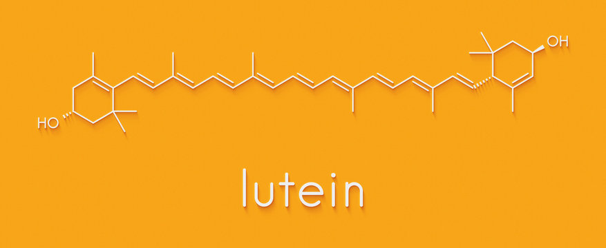 Lutein yellow-orange plant pigment molecule. Used as food and feed additive but also naturally present in many vegetables. Skeletal formula.