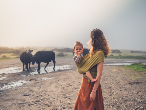 Mother with baby in sling looking at cows