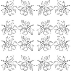 Kukui, liner, seamless 2