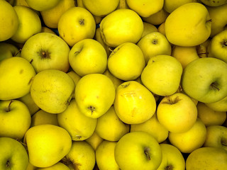 Yellow apples