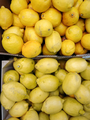 Lemons background