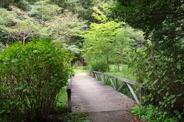 Obraz premium Andersen Park in Autumn / Andersen Park is a public park in Funabashi City, Chiba Prefecture.
