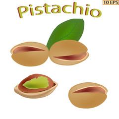 Pistachio nut. Pistachio nuts isolated on white background. Pistachio in realistic style. Vector illustration.