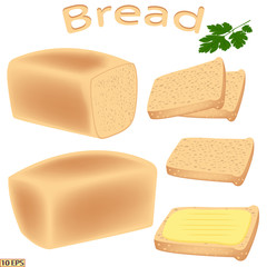 Bread. Bread sliced for sandwiches. Bread with butter. Vector illustration for recipe, menu restaurant, kitchen interior design.