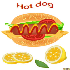 Hot dog with sausage. Delicious hot dog. Tasty hot dog with sausage,  mustard and ketchup. Fast food. Vector illustration.