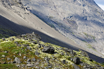 The mountain slopes of the Khibiny , Kola Peninsula, Russia