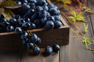 Fresh Black Grapes in Dark Wooden Tray on Wooden Table Selective focus