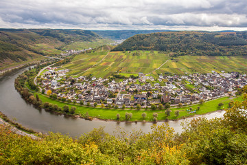 Moselle landscape and the wine village Ernst  Rheinland Pfalz Germany
